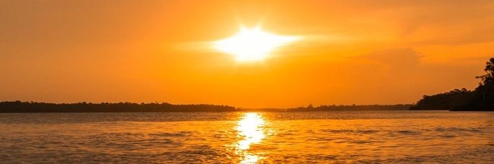 RevistaTweet's profile banner image