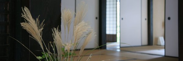 psydo_in Profile Banner