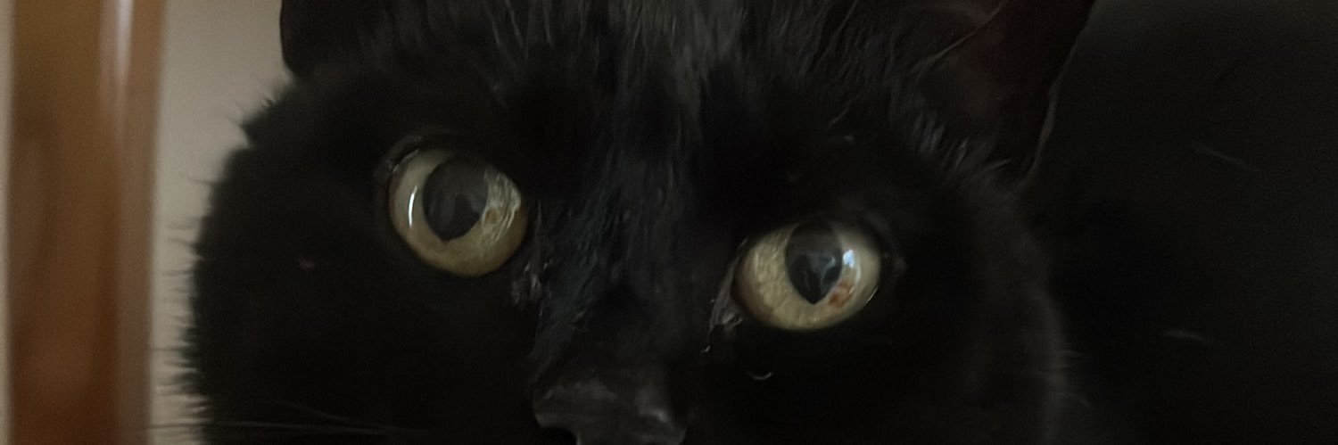 Piera banner