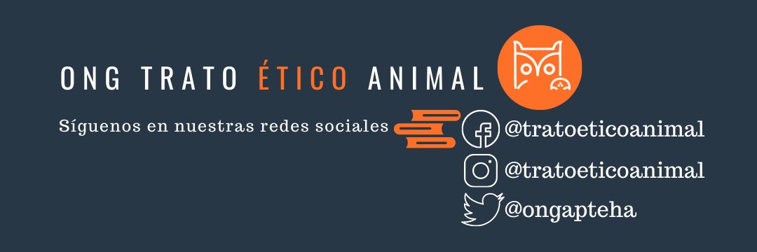 🐾𝑺𝒂𝒏🐾 banner