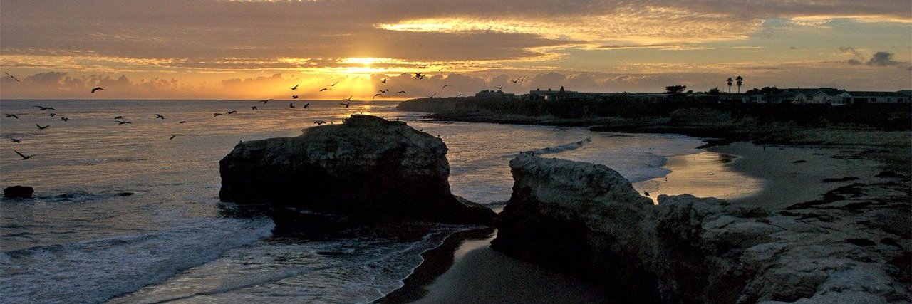 CA State Parks of Santa Cruz banner