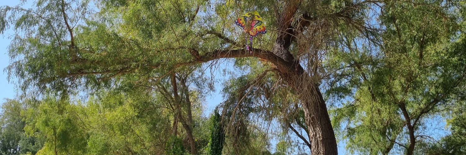 Snaptrix's profile banner image