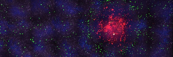 Kubes_Lab Profile Banner