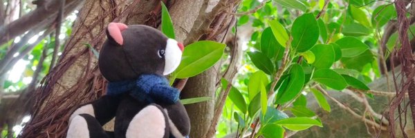 yui_kuma Profile Banner