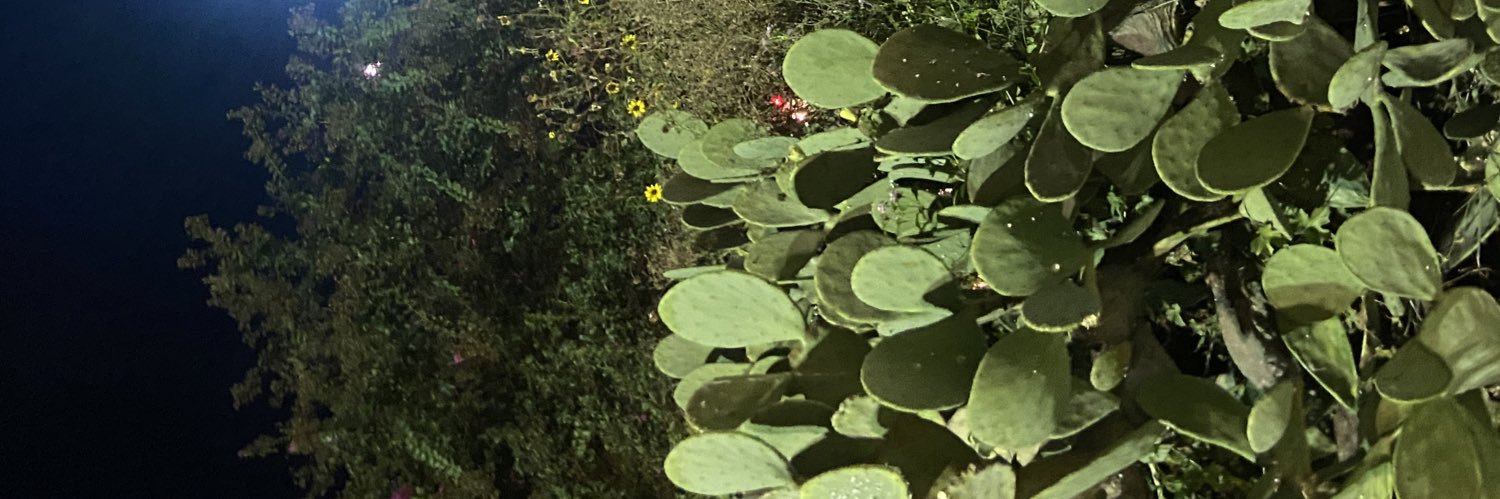 daisymayoo's profile banner image