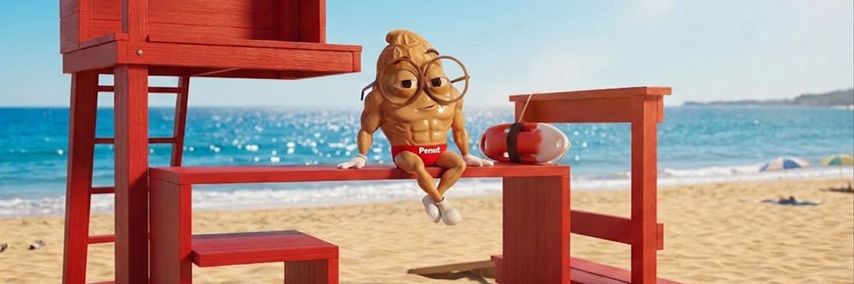 penut_ai's profile banner image
