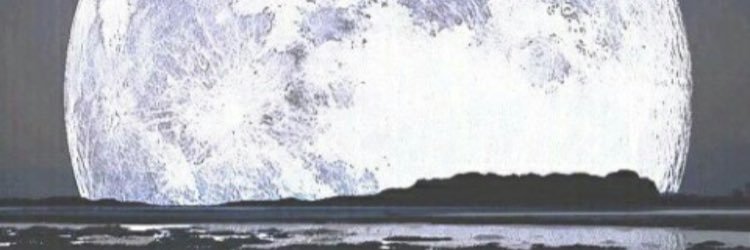 M_Estrada18's profile banner image
