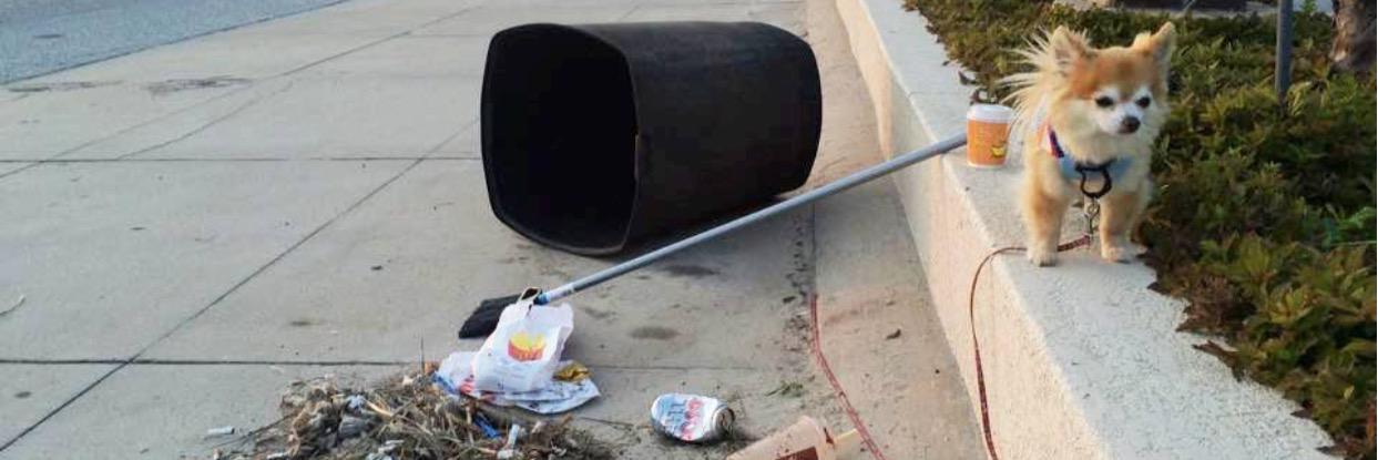 wilford raney banner