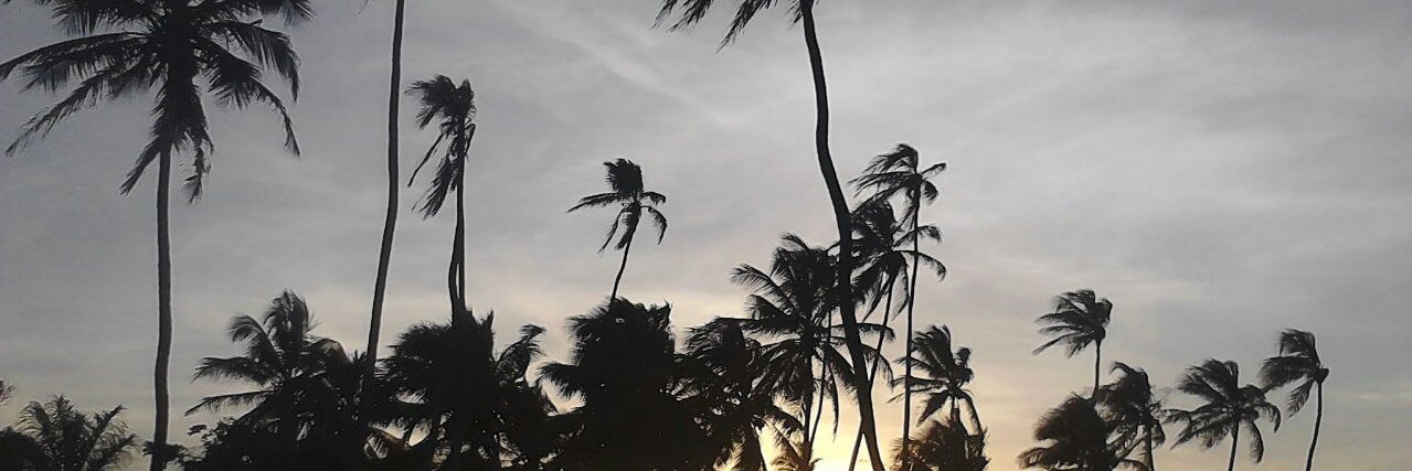 flaveras's profile banner image