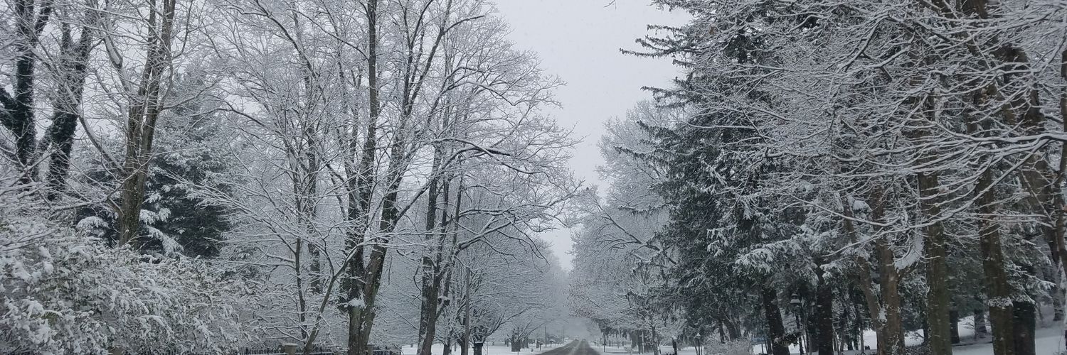 twtrlessLiz's profile banner image