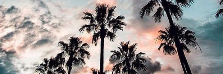 Tayy_Jay's profile banner image
