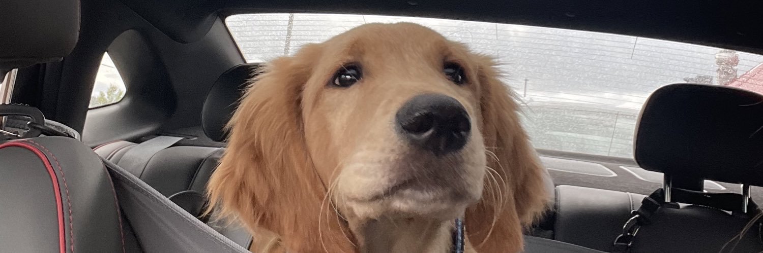 bacx22's profile banner image