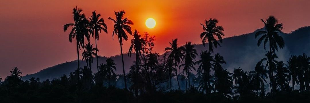JVershy's profile banner image