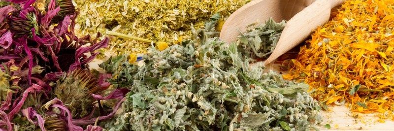 AltMeds_SFP's profile banner image