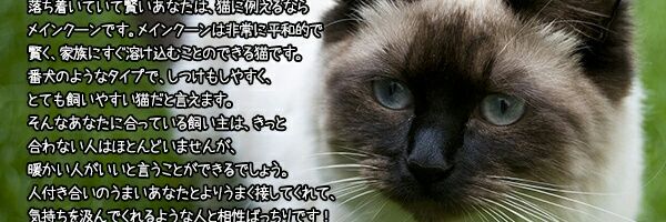 miko❀ banner