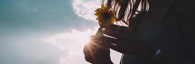_shiiihooo's profile banner image