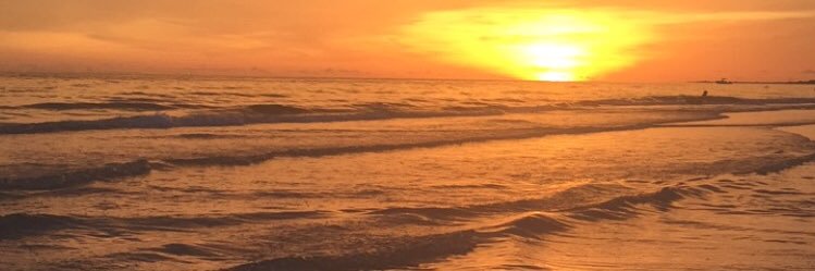 RyanPujol's profile banner image