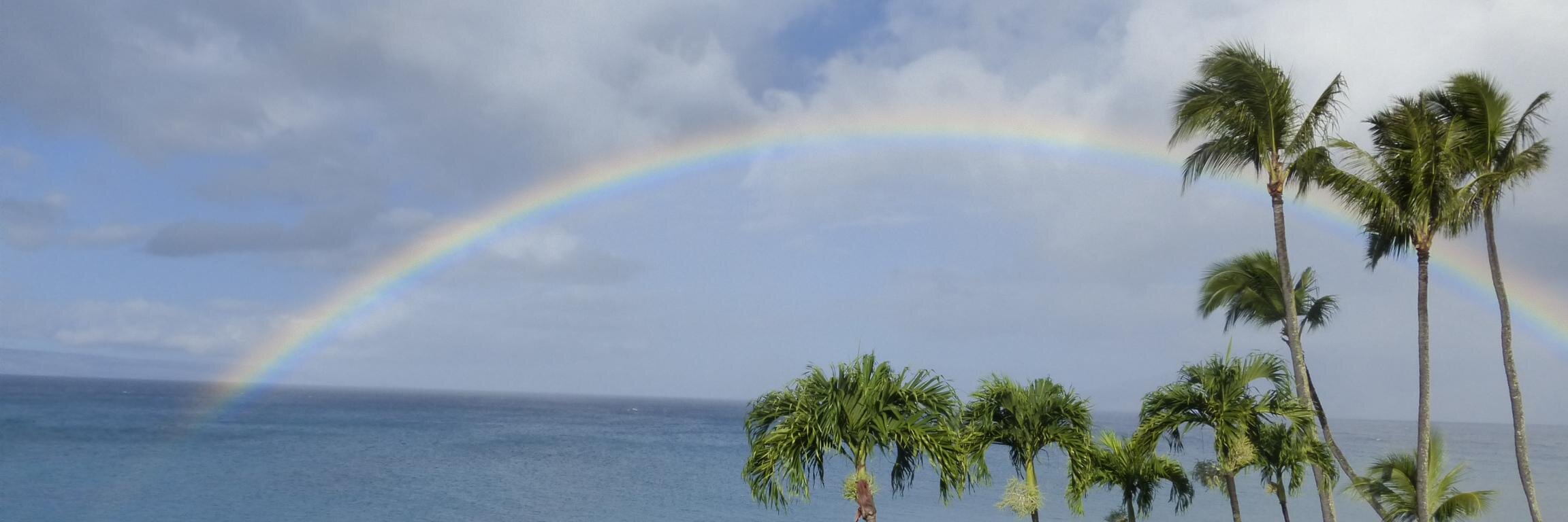Louloudorset's profile banner image