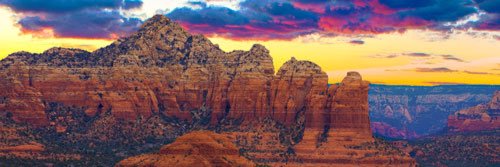 Ali Darrage Wright banner