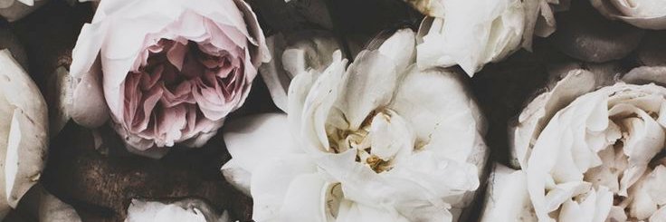 _JessSmithMusic's profile banner image