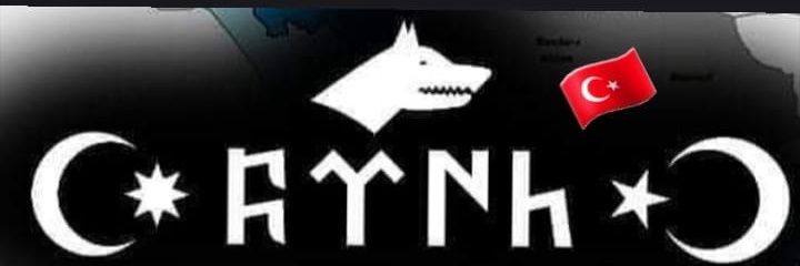she_wolf_34's profile banner image