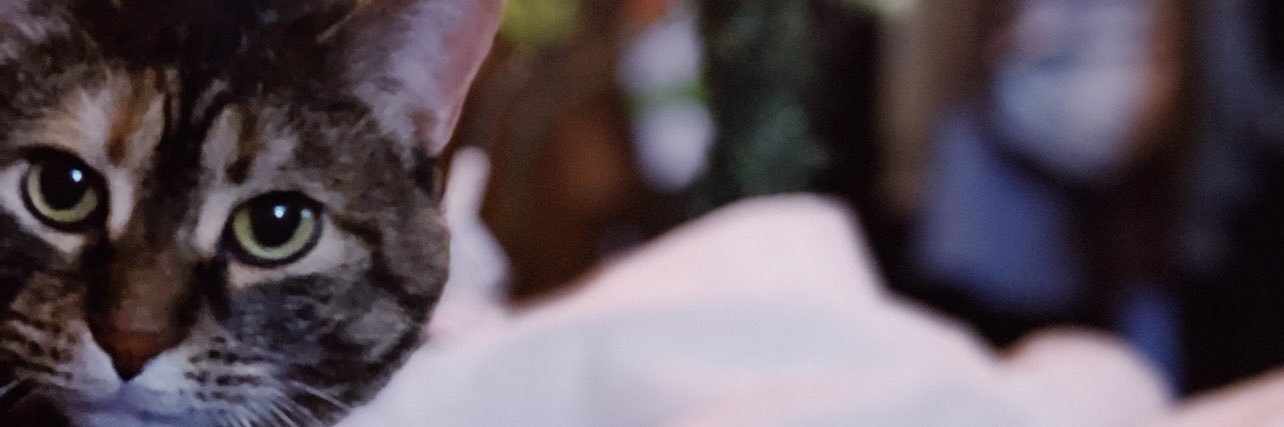 KayleighAutumnC's profile banner image