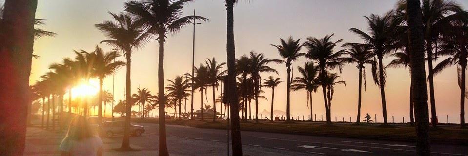 Leonardo Saraiva banner