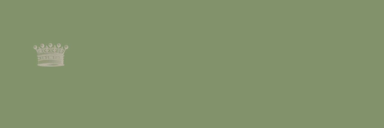 SylvieLVariant's profile banner image