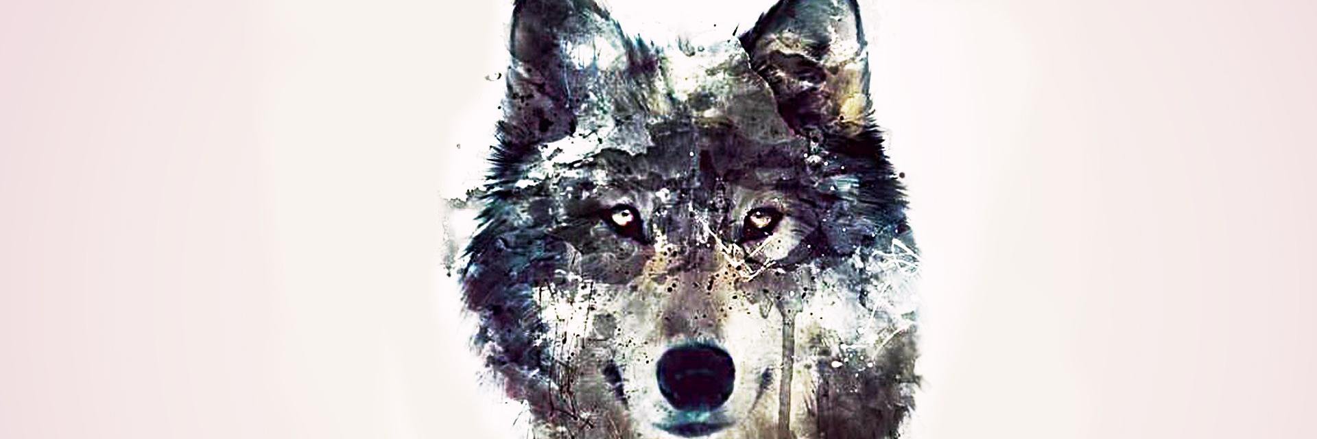 BitchImaWolf's profile banner image