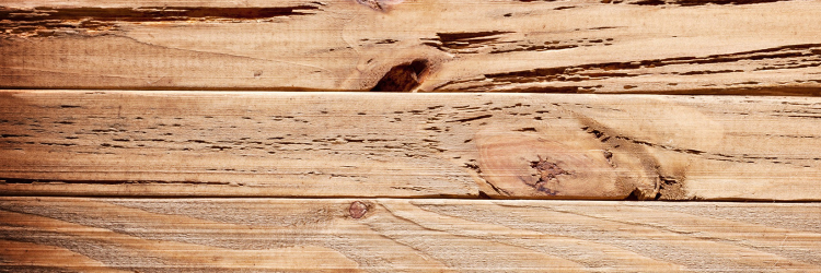 LliamScholtz's profile banner image