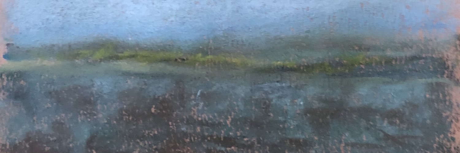 salemswamp's profile banner image