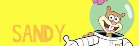kokorosandy's profile banner image