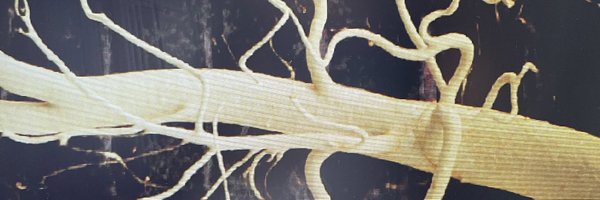 JiriMolacek Profile Banner