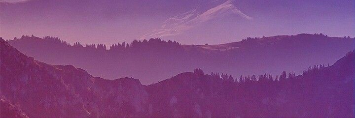 Cimowl banner