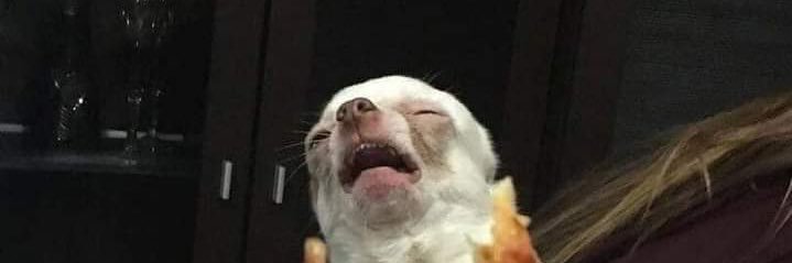 Hey_itsBray's profile banner image