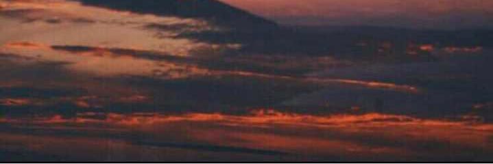 pi_____08's profile banner image