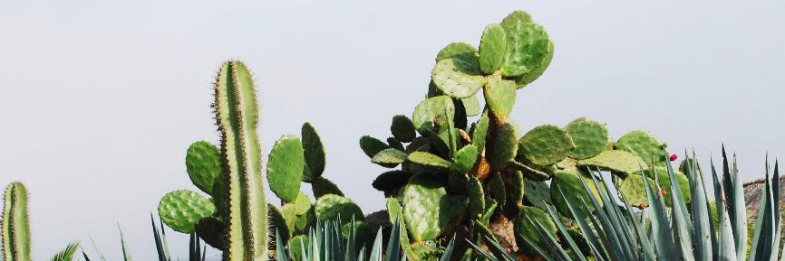 lorepatterson's profile banner image