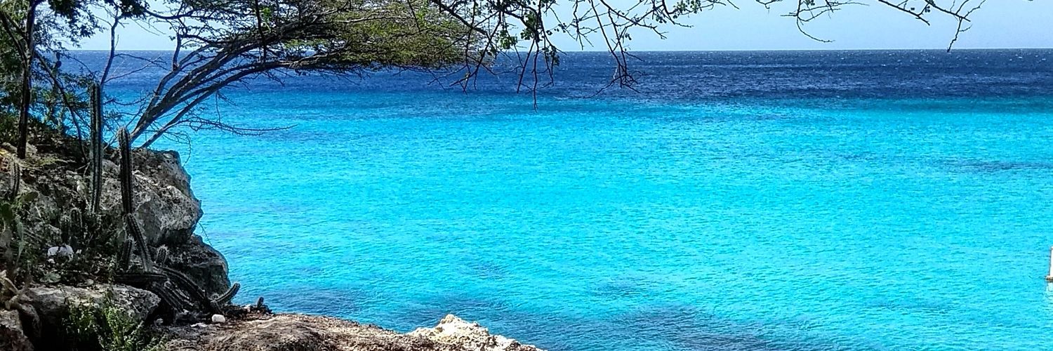 Vinicius Canuto banner