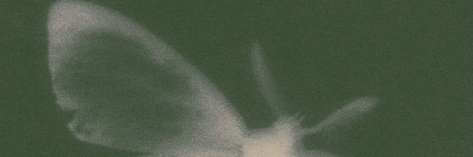 liya_loca's profile banner image