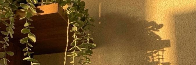 bariannamull's profile banner image