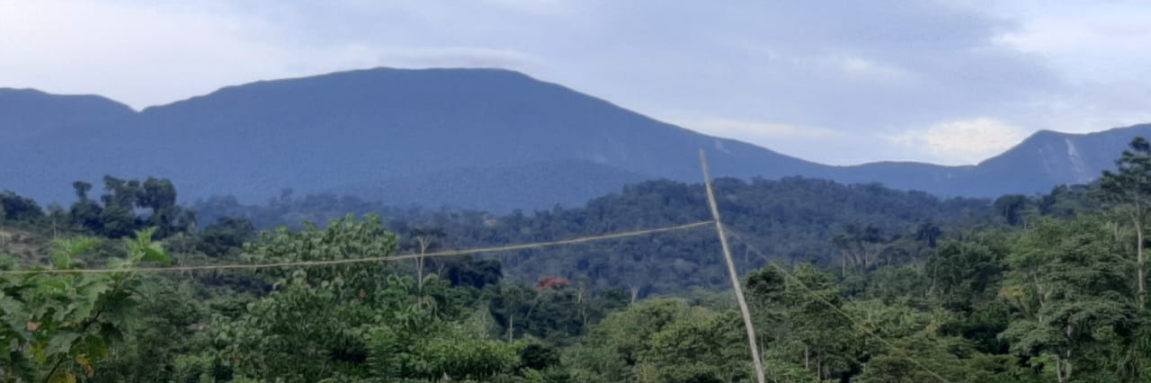 DANIELeoncito's profile banner image