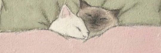 Y banner