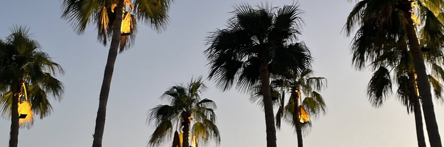 R banner