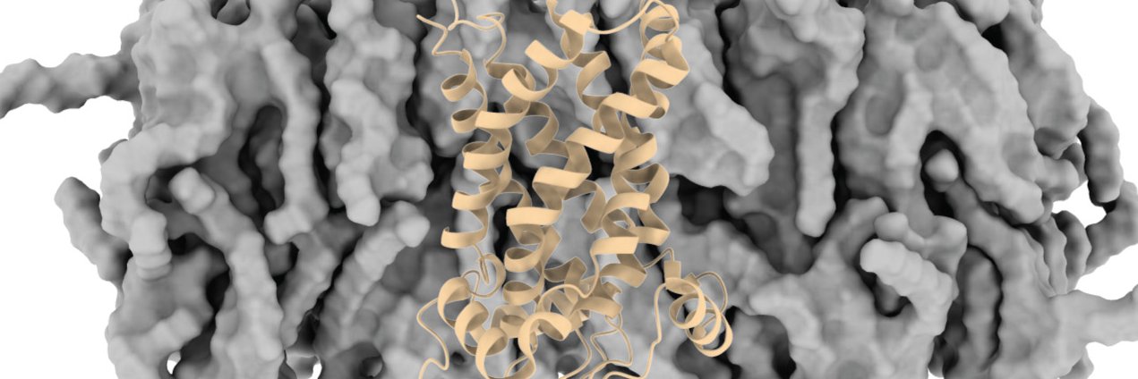 Andrea Pasquadibisceglie @andpdb.bsky.social banner