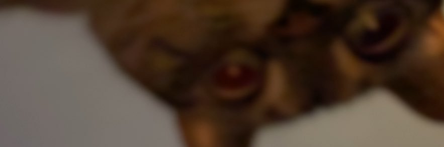 bxrxox's profile banner image