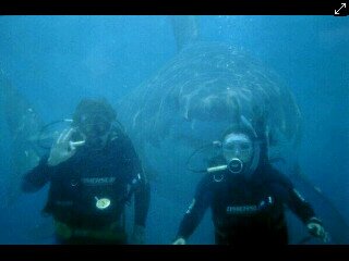 abdirifki's profile banner image
