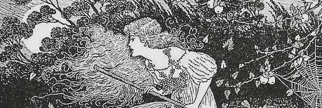 paula banner
