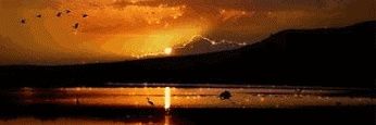 vikingo230's profile banner image