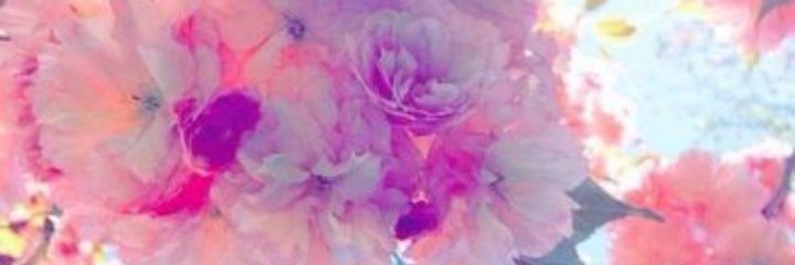LuciaMBazan's profile banner image