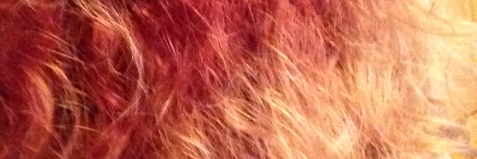 Huntynette's profile banner image
